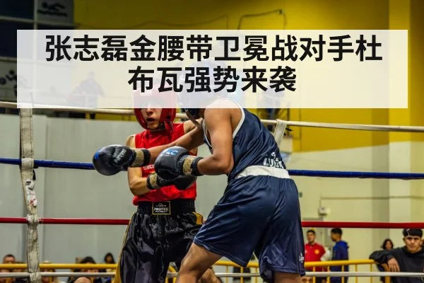 张志磊金腰带卫冕战对手杜布瓦强势来袭